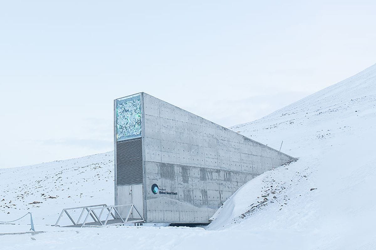 A look inside the Svalbard seed vault