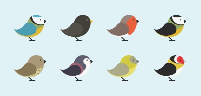 Printable garden bird illustrations for display