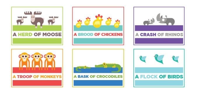 A set of collective nouns for children