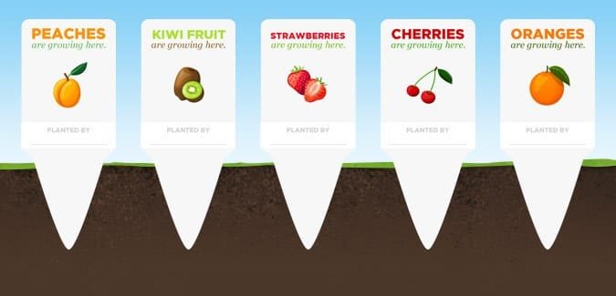 Fruit labels for your classroom garden