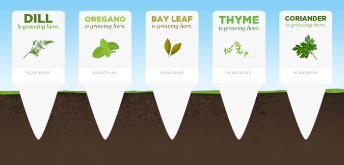 Printable herb labels for the classroom garden