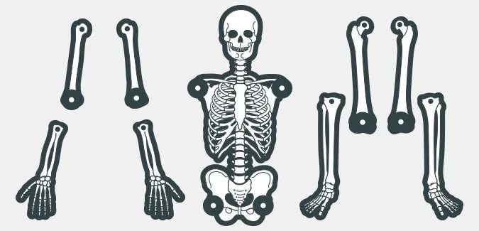 Construct a skeleton with our free template