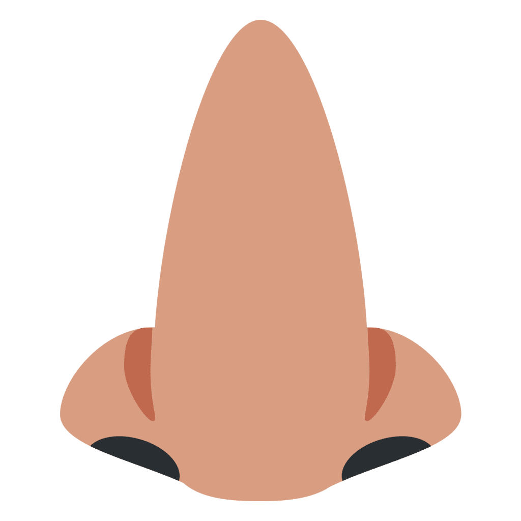 Nose emoji