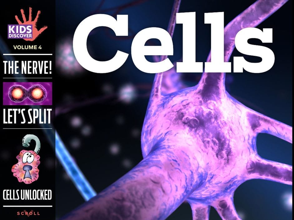 Learn all about cells with Kids Discover