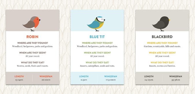 Cute British songbird flash cards