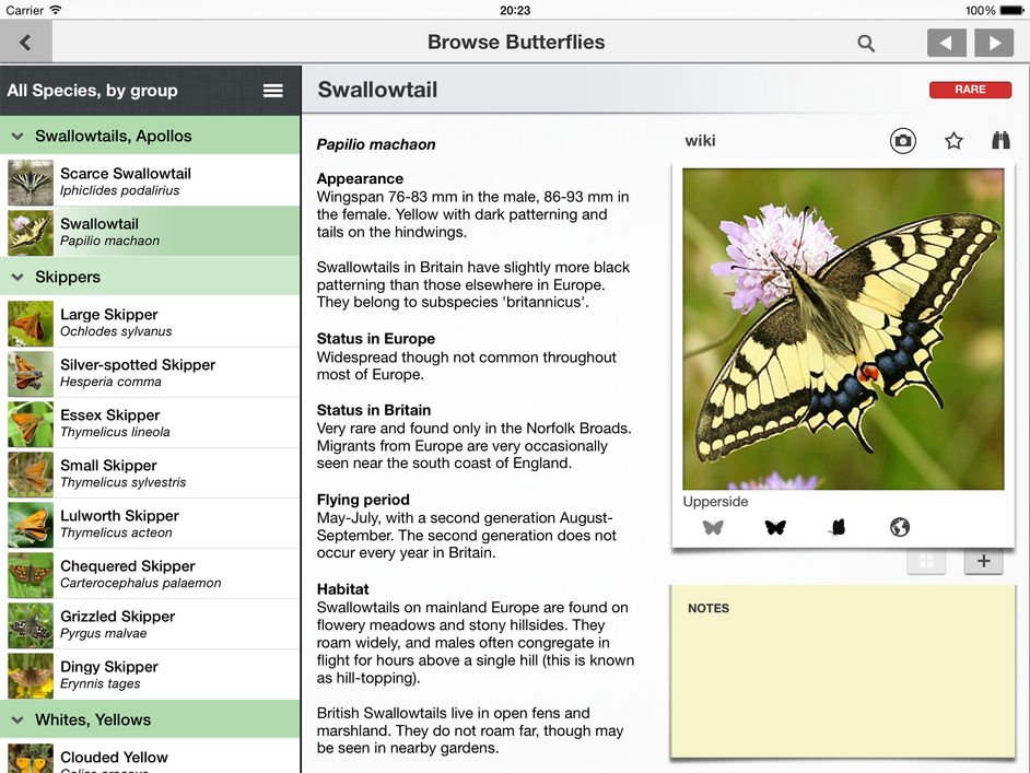 A guide for identifying British and European butterflies