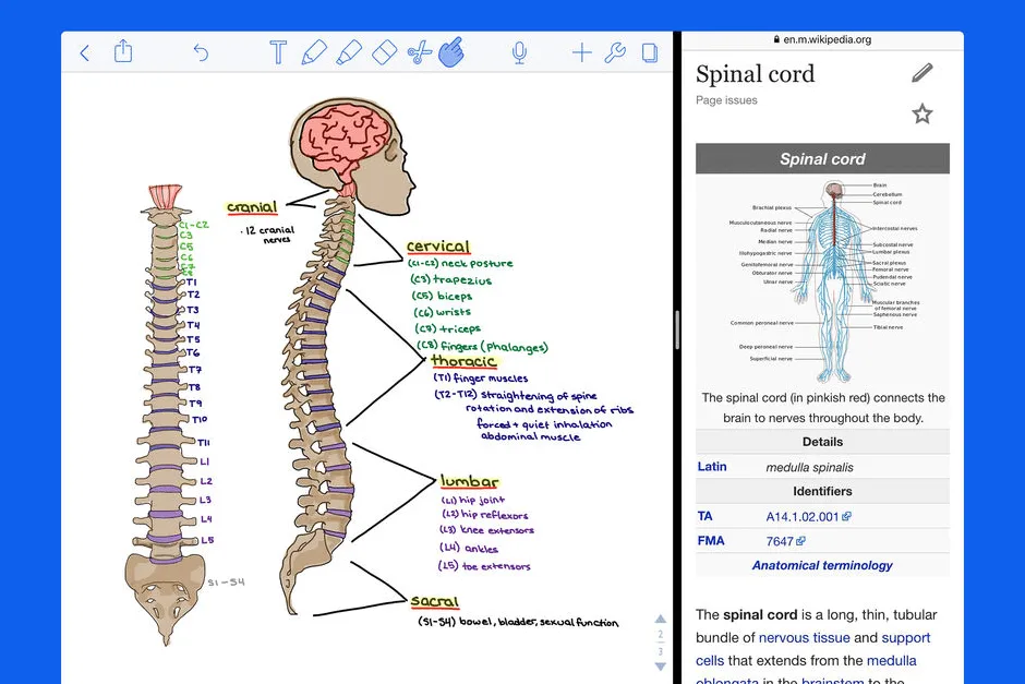 notability app sketching notetaking