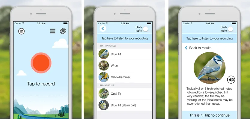 ChirpOMatic identifies garden birds by listening to their songs and calls