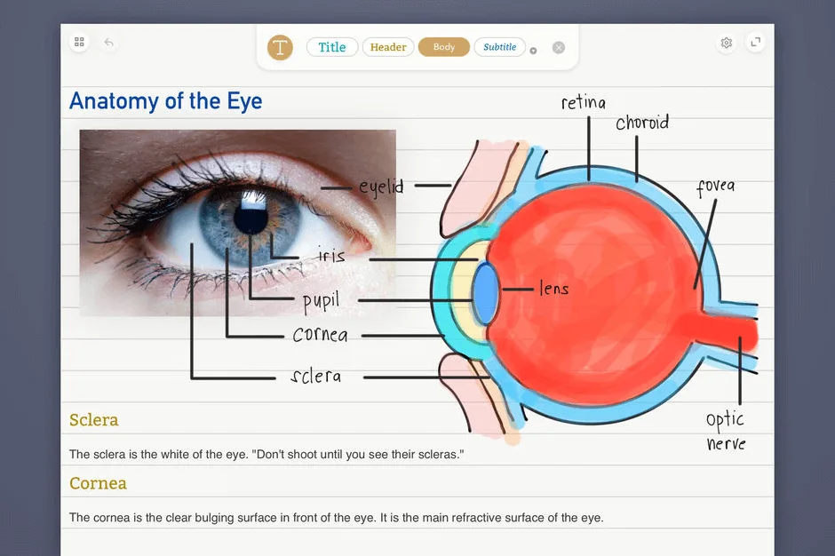 Whink: Take notes, markup PDFs, record audio and sketch ideas